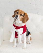 Load image into Gallery viewer, TDP X LOLA LOU | GINGERBREAD