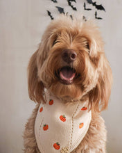 Load image into Gallery viewer, BANDANA | PUMPKIN HOLLOW