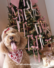 Load image into Gallery viewer, BANDANA | FA LA LA