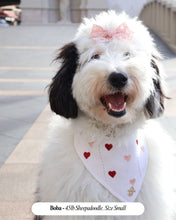 Load image into Gallery viewer, A dog with a bandana featuring white embroidered hearts on its neck.