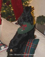 Load image into Gallery viewer, BANDANA | KENSINGTON BOW