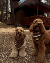 Load image into Gallery viewer, Dottie dog bandana cream polka dots on a rich chocolate brown knit with scalloped trim.