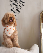 Load image into Gallery viewer, BANDANA | PUMPKIN HOLLOW