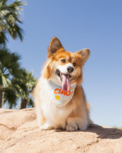 Load image into Gallery viewer, BANDANA | CIAO!