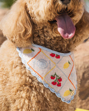 Load image into Gallery viewer, BANDANA | AMALFI MARKET
