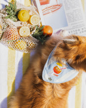 Load image into Gallery viewer, BANDANA | SPRITZ & STRIPES
