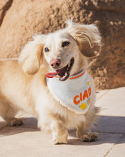 Load image into Gallery viewer, BANDANA | CIAO!