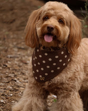Load image into Gallery viewer, BANDANA | DOTTIE