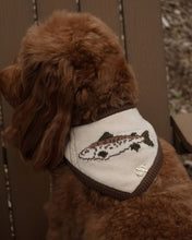 Load image into Gallery viewer, BANDANA | WALLACE
