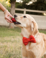 Load image into Gallery viewer, BOWTIE | RED POLKA DOTS