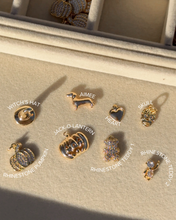 Load image into Gallery viewer, CHARM BAR | FALL COLLAR CHARM
