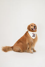 Load image into Gallery viewer, BANDANA | HEARTLAND TEDDY