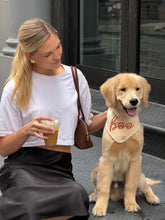 Load image into Gallery viewer, BANDANA | CASPER