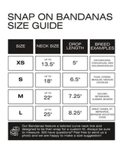 Load image into Gallery viewer, BANDANA | CHÉRIE