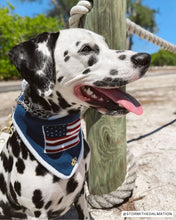 Load image into Gallery viewer, BANDANA | BENJAMIN ROSS