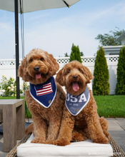 Load image into Gallery viewer, BANDANA | MARTHA