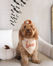 Load image into Gallery viewer, BANDANA | CASPER