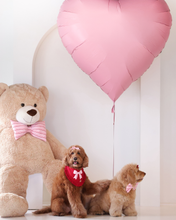Load image into Gallery viewer, Two dogs with pink bows, a large teddy bear, and a heart-shaped balloon against a white background.