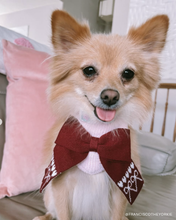 Load image into Gallery viewer, BANDANA | CUPID'S BOW