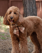 Load image into Gallery viewer, Plaid dog sailor bow in warm camel, brown, cream, and rust tones with a classic heritage-inspired design.