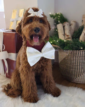 Load image into Gallery viewer, BANDANA, LIMITED EDITION | NOEL