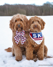 Load image into Gallery viewer, BANDANA | APRÉS SKI