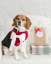 Load image into Gallery viewer, TDP X LOLA LOU | BOW