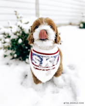 Load image into Gallery viewer, BANDANA | APRÉS SKI