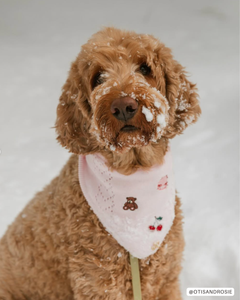 BANDANA | SOPHIE