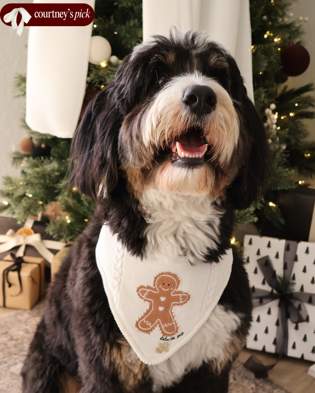 BANDANA | GMAS GINGERBREAD