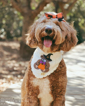 Load image into Gallery viewer, BANDANA | SPOOKY TEDDY
