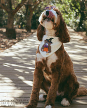 Load image into Gallery viewer, BANDANA | SPOOKY TEDDY
