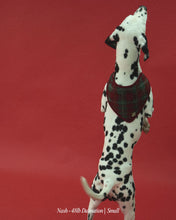 Load image into Gallery viewer, BANDANA | ST. NICK
