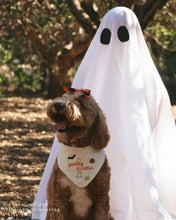 Load image into Gallery viewer, BANDANA | SPOOKY SEASON
