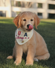 Load image into Gallery viewer, BANDANA | MAYBERRY
