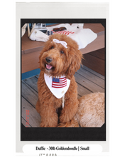 Load image into Gallery viewer, BANDANA | BETSY ROSS
