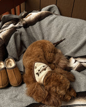 Load image into Gallery viewer, Wallace dog bandana heritage-inspired fish motif in brown and cream tones.
