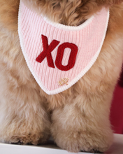 Load image into Gallery viewer, Dog wearing a pink knitted bib with red 'XO' letters
