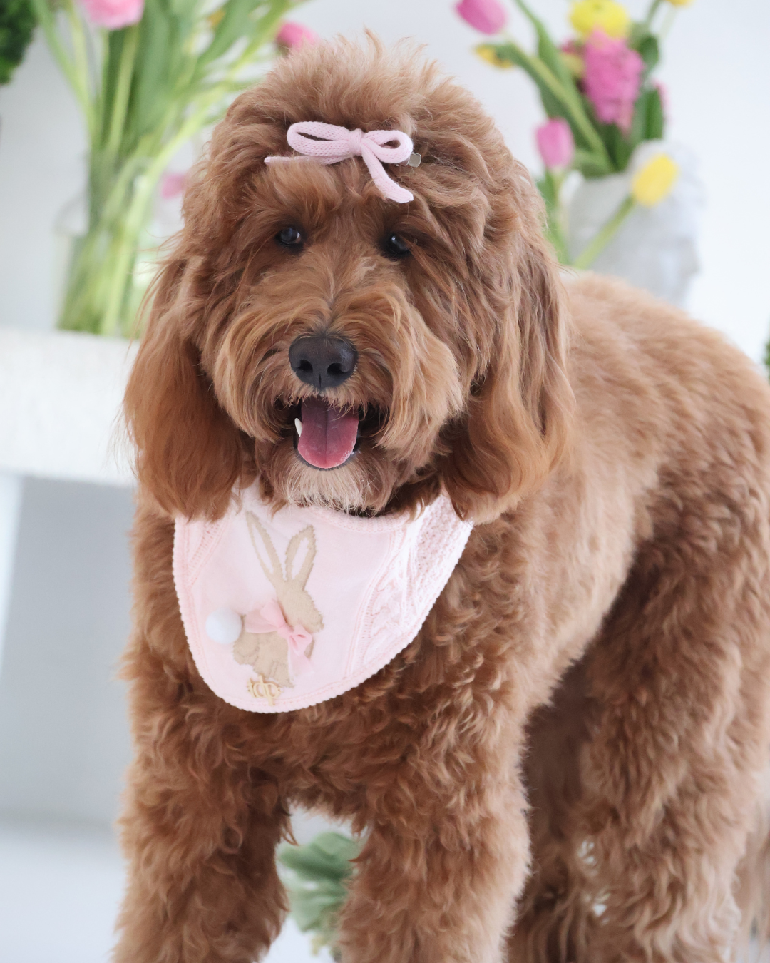 BANDANA | MARLOWE