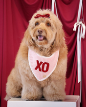 Load image into Gallery viewer, Dog wearing a pink 'XO' bandana in front of a red curtain
