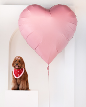 Load image into Gallery viewer, Dog wearing a heart bandana with a pink heart balloon in the background
