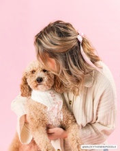 Load image into Gallery viewer, BANDANA | CLARA BOW
