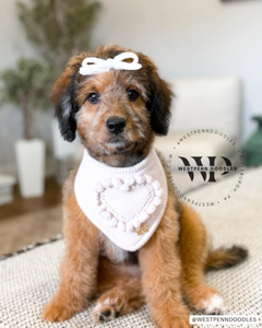 BANDANA | MATILDA