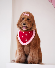 Load image into Gallery viewer, Dog wearing a red bandana with white hearts and a pink bow on a white background
