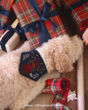 Load image into Gallery viewer, BANDANA | MONTY THE MOOSE
