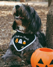 Load image into Gallery viewer, BANDANA | TRICK-OR-TREAT
