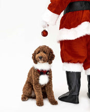 Load image into Gallery viewer, BOW BUNDLE | SANTA PAWS
