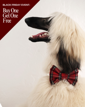 Load image into Gallery viewer, BOWTIE | HOLIDAY
