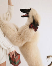 Load image into Gallery viewer, BOWTIE | HOLIDAY
