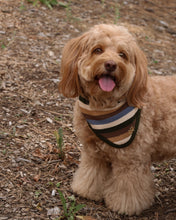 Load image into Gallery viewer, The weekender dog bandana Multi-color green, brown, and blue stripes.
